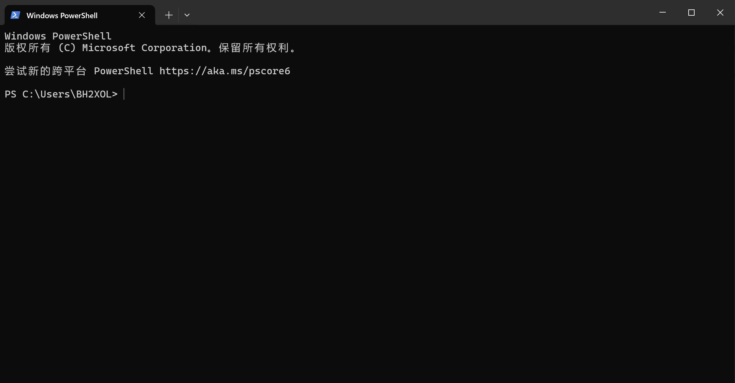 Windows Terminal